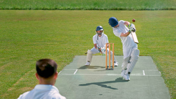 india women's national cricket team vs south africa women's national cricket team match scorecard