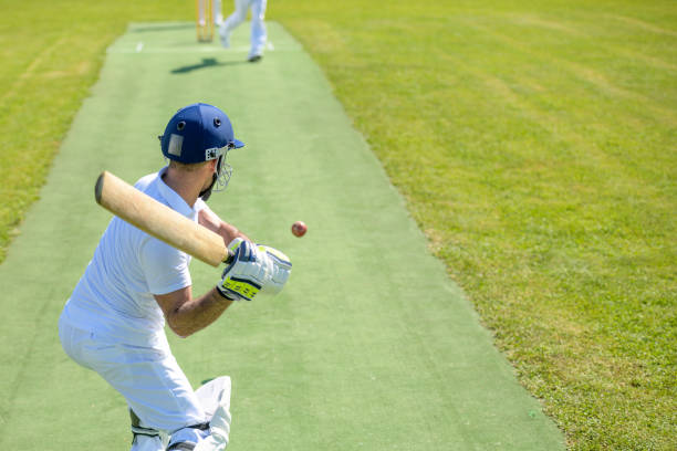 assam cricket team vs baroda cricket team match scorecard